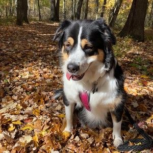 Meet your Posher, Jo